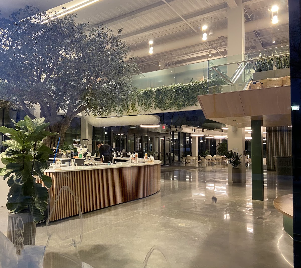 Airship Coffee at The Ledger