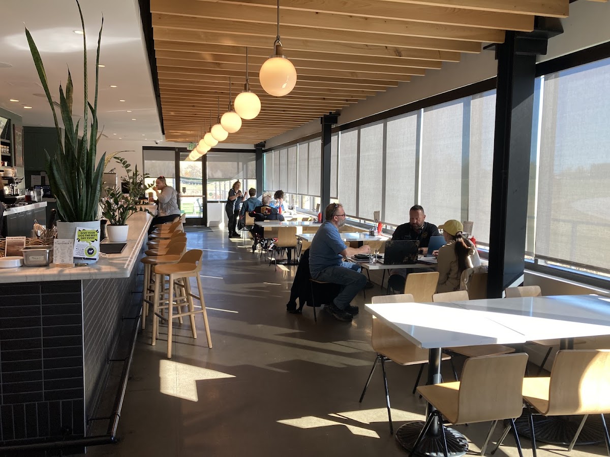 Louise at Thaden Field logo