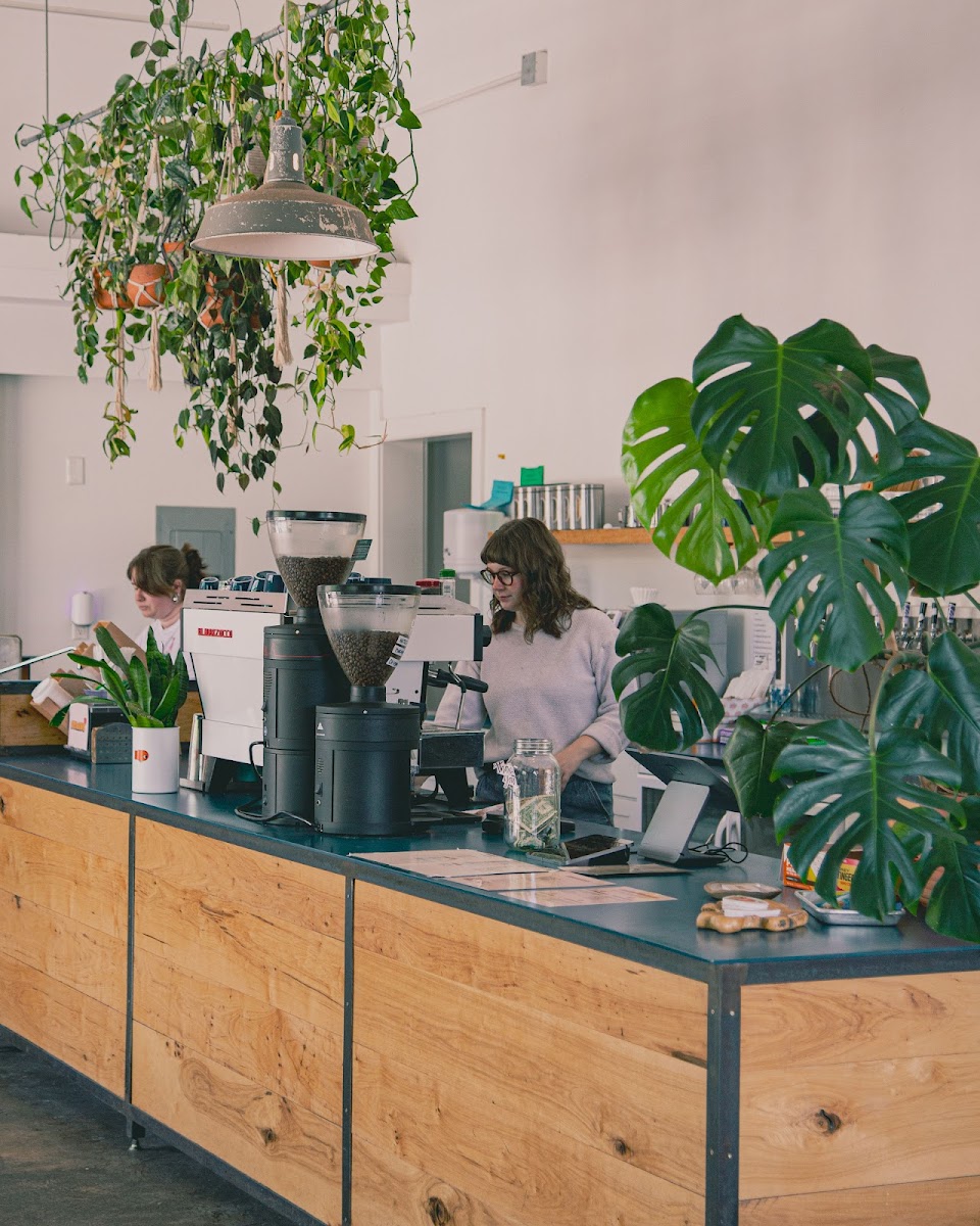 Airship Coffee at 5th Street Interior Photo - Airship Coffee at 5th Street Cafe in Bentonville, AR