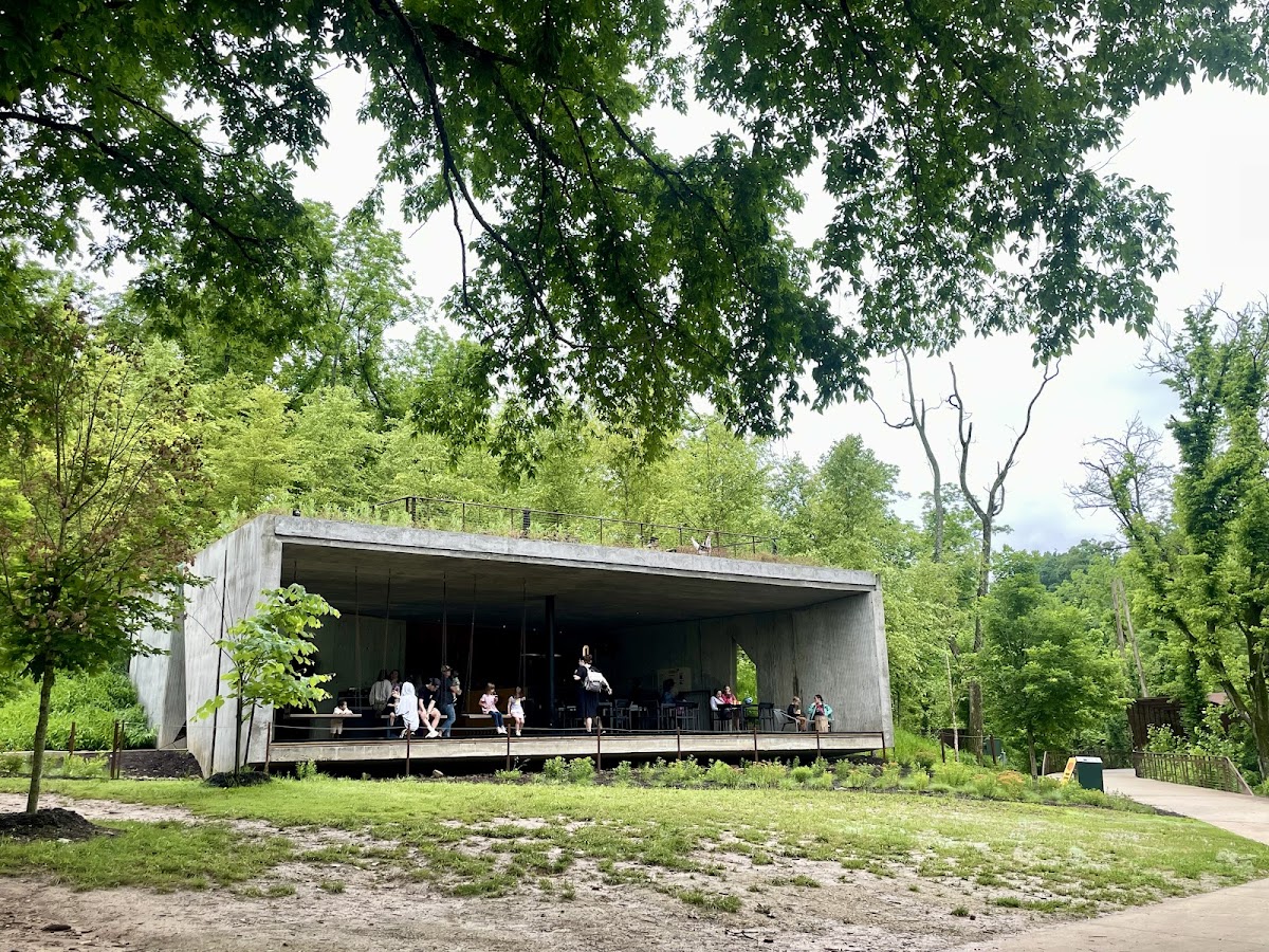 Airship Coffee at Coler Food Photo - Airship Coffee at Coler Cafe in Bentonville, AR