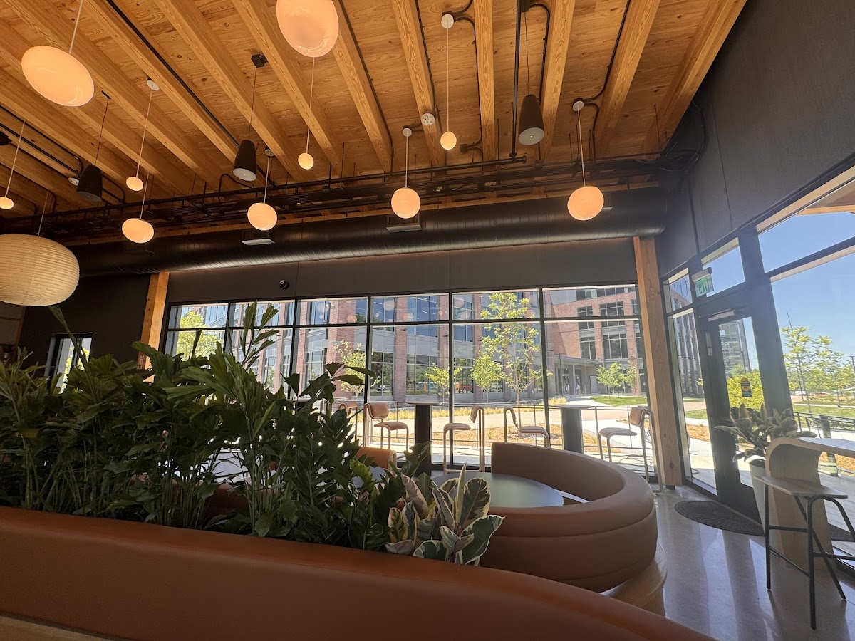 Airship Coffee on The Porch Interior Photo - Airship Coffee on The Porch Cafe in Bentonville, AR