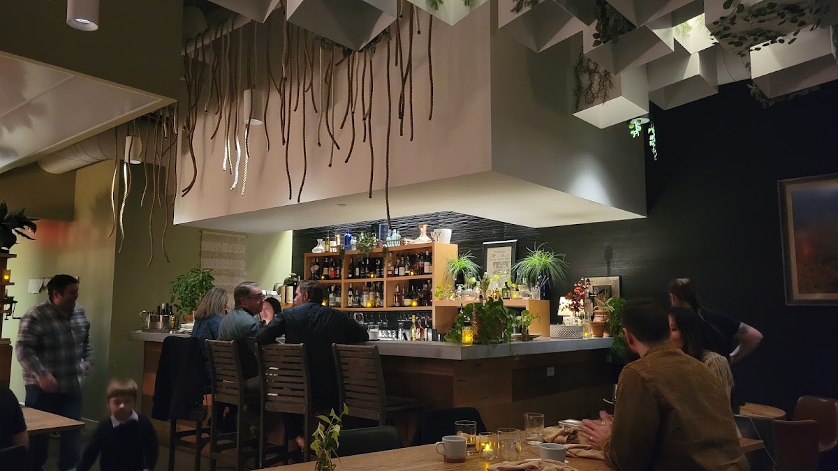 Bar Cleeta Interior Photo - Bar Cleeta Bars in Bentonville, AR