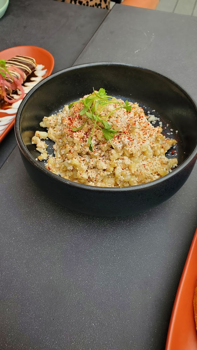 Calle Latin Cuisine Food Photo - Calle Latin Cuisine Latin American in Fayetteville, AR