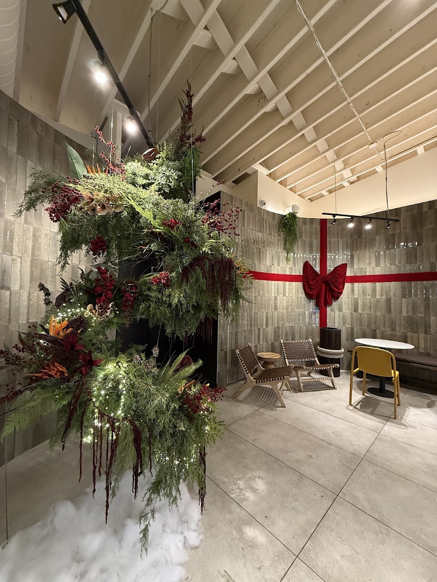 CALMO Coffee Interior Photo - CALMO Coffee Cafe in Rogers, AR