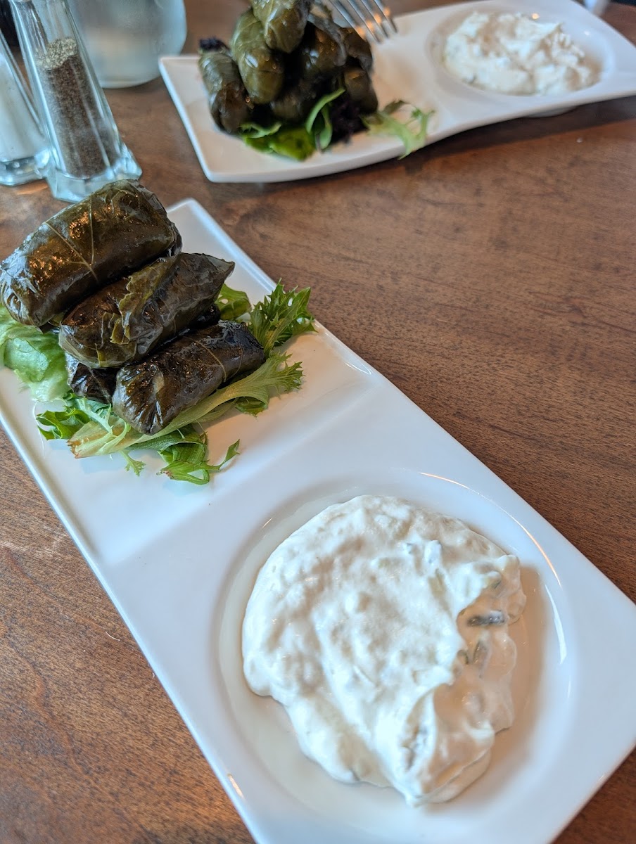 CASA DONER Food Photo - CASA DONER Mediterranean in Bentonville, AR