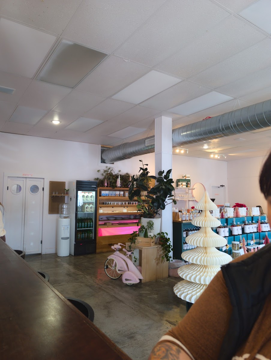 Pink House Alchemy Interior Photo - Pink House Alchemy Cafe in Fayetteville, AR