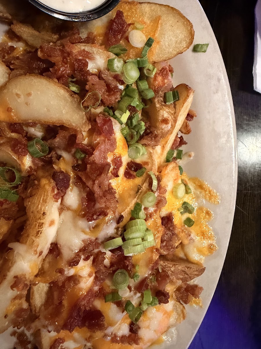 Wild Wing Cafe Food Photo - Wild Wing Cafe Chicken in Farragut, TN